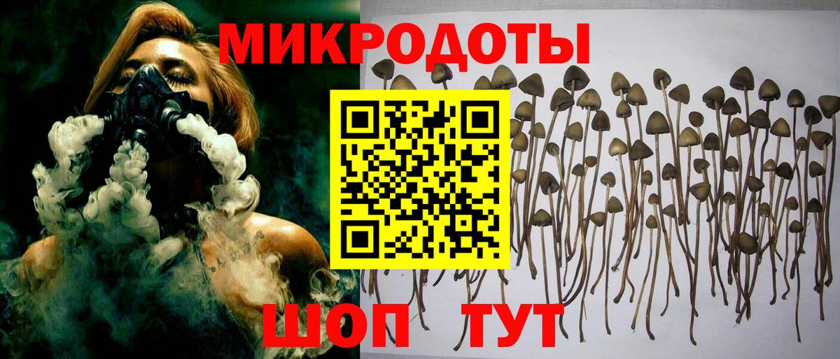 Галлюциногенные грибы мухоморы Набережные Челны