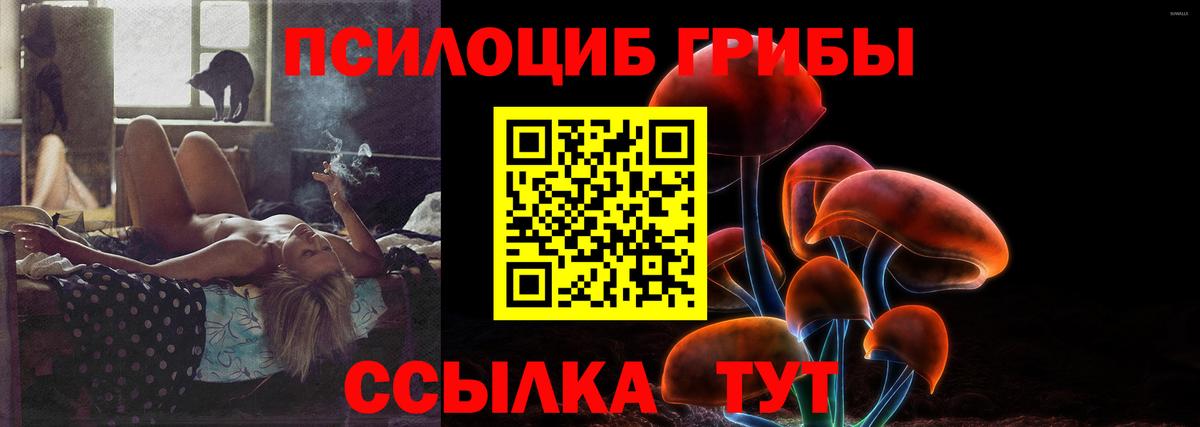 Набережные Челны  магазин продажи   Галлюциногенные грибы MAGIC MUSHROOMS  Вход с VPN  Псилоцибиновые грибы MAGIC MUSHROOMS 